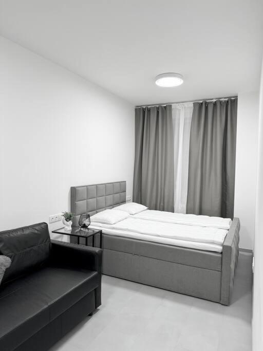 Apartamento New Modern Large In New Town 3bdr