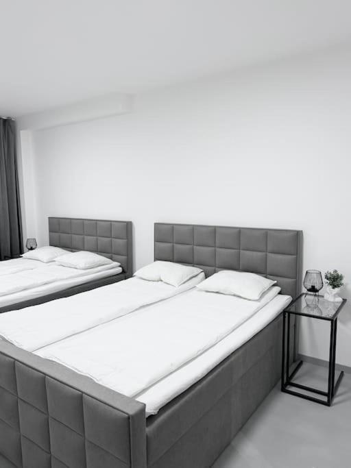 New Modern Large In New Town 3bdr Praga