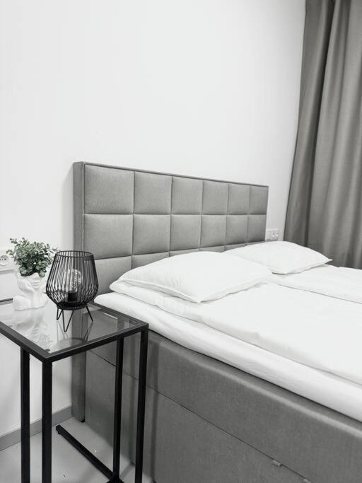 New Modern Large In New Town 3bdr Praga